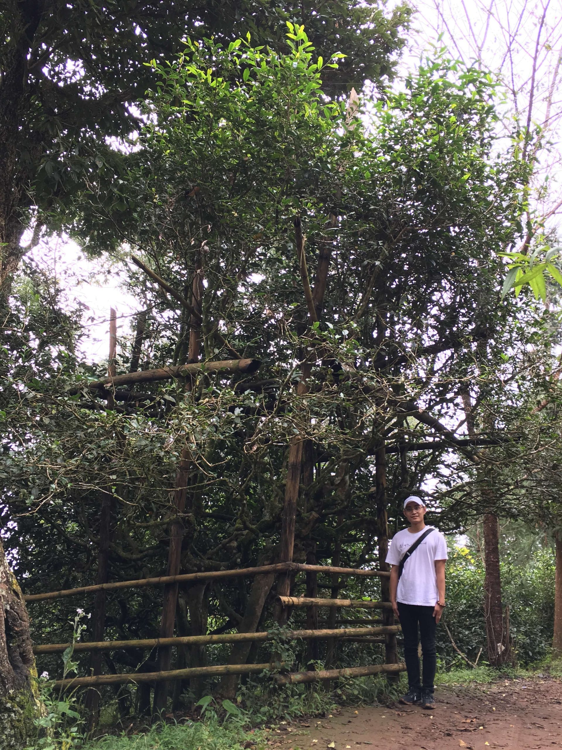 2018秋季茶山行 (100)