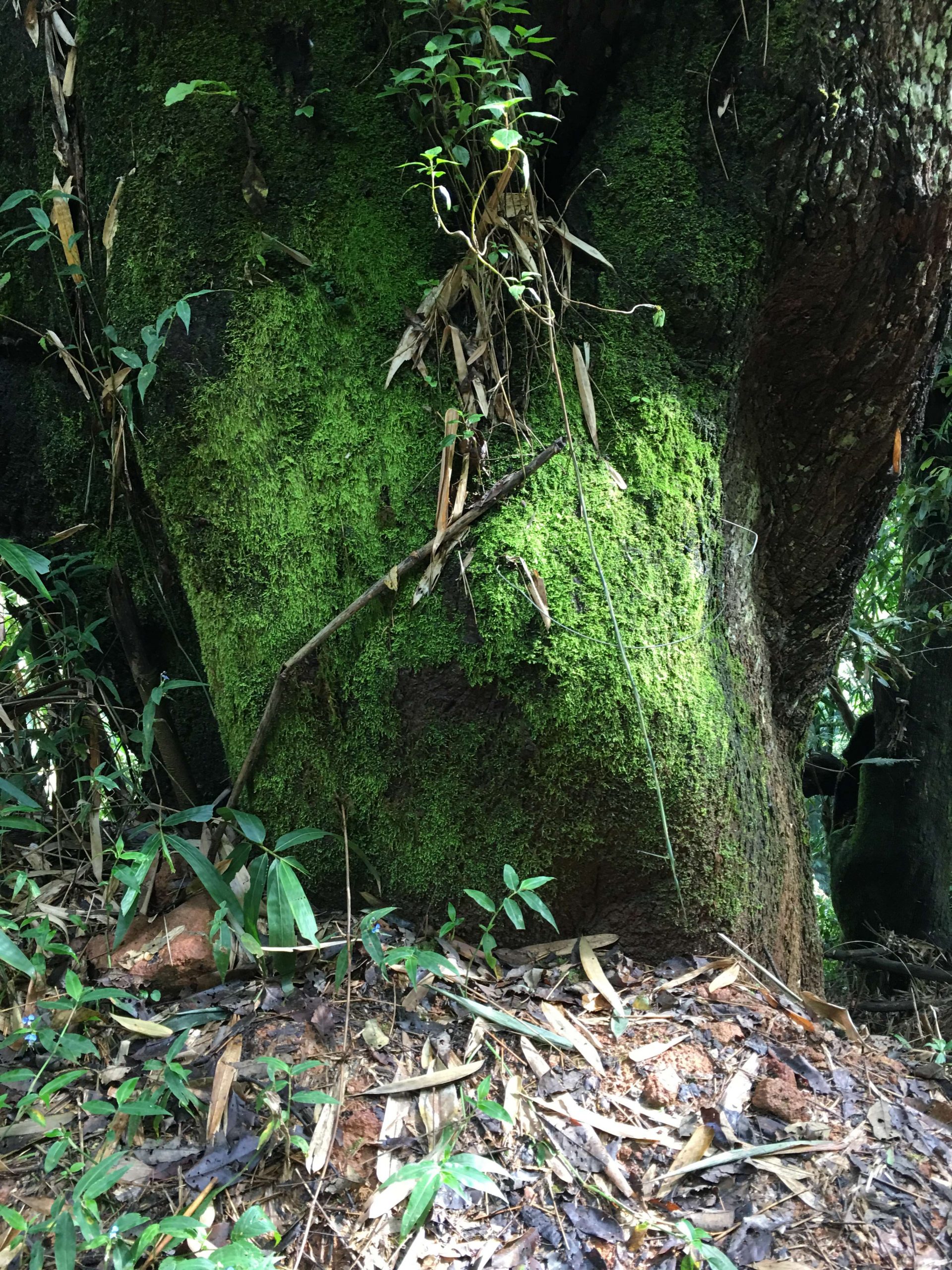 2018秋季茶山行 (65)