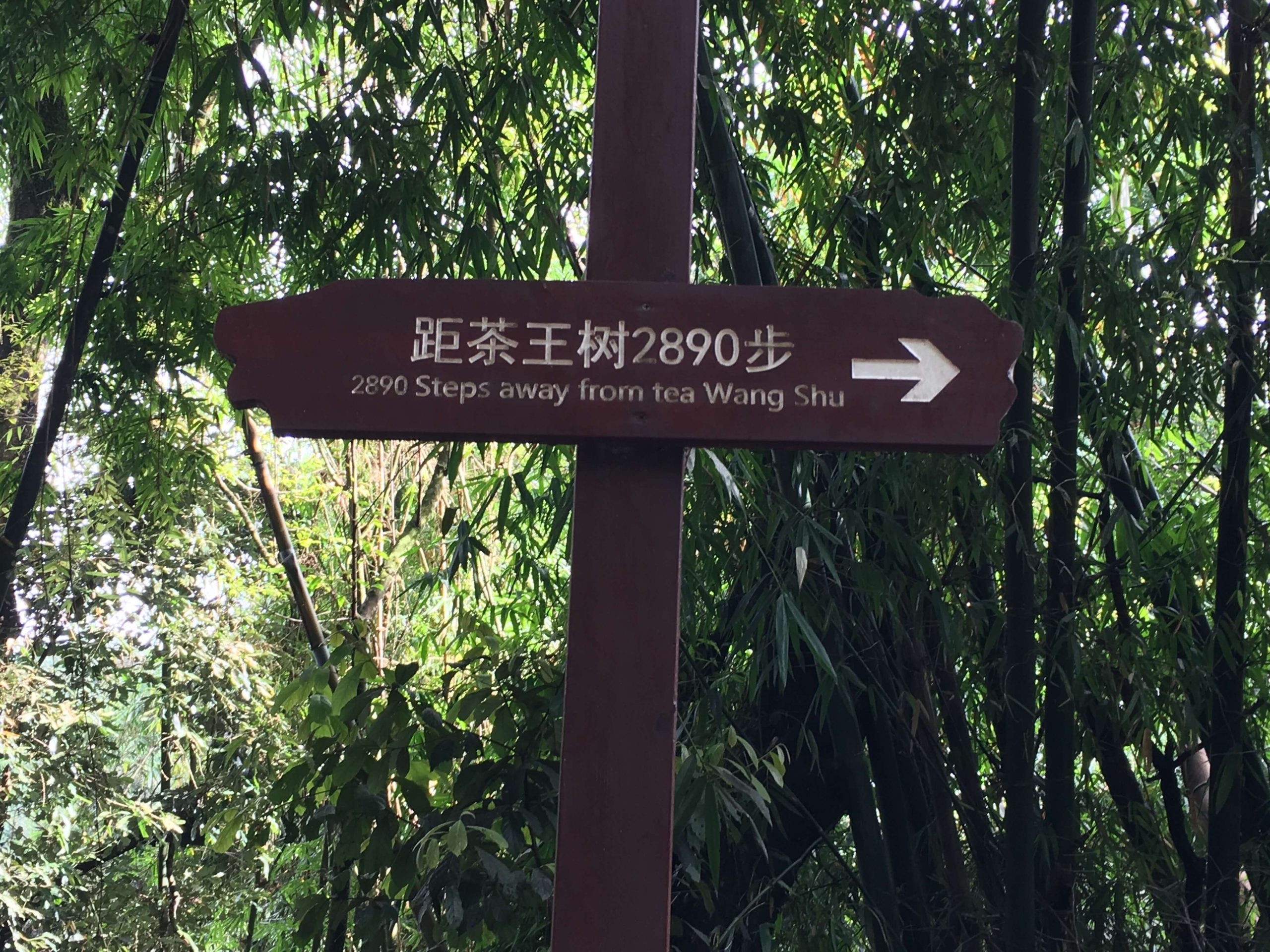 2018秋季茶山行 (67)