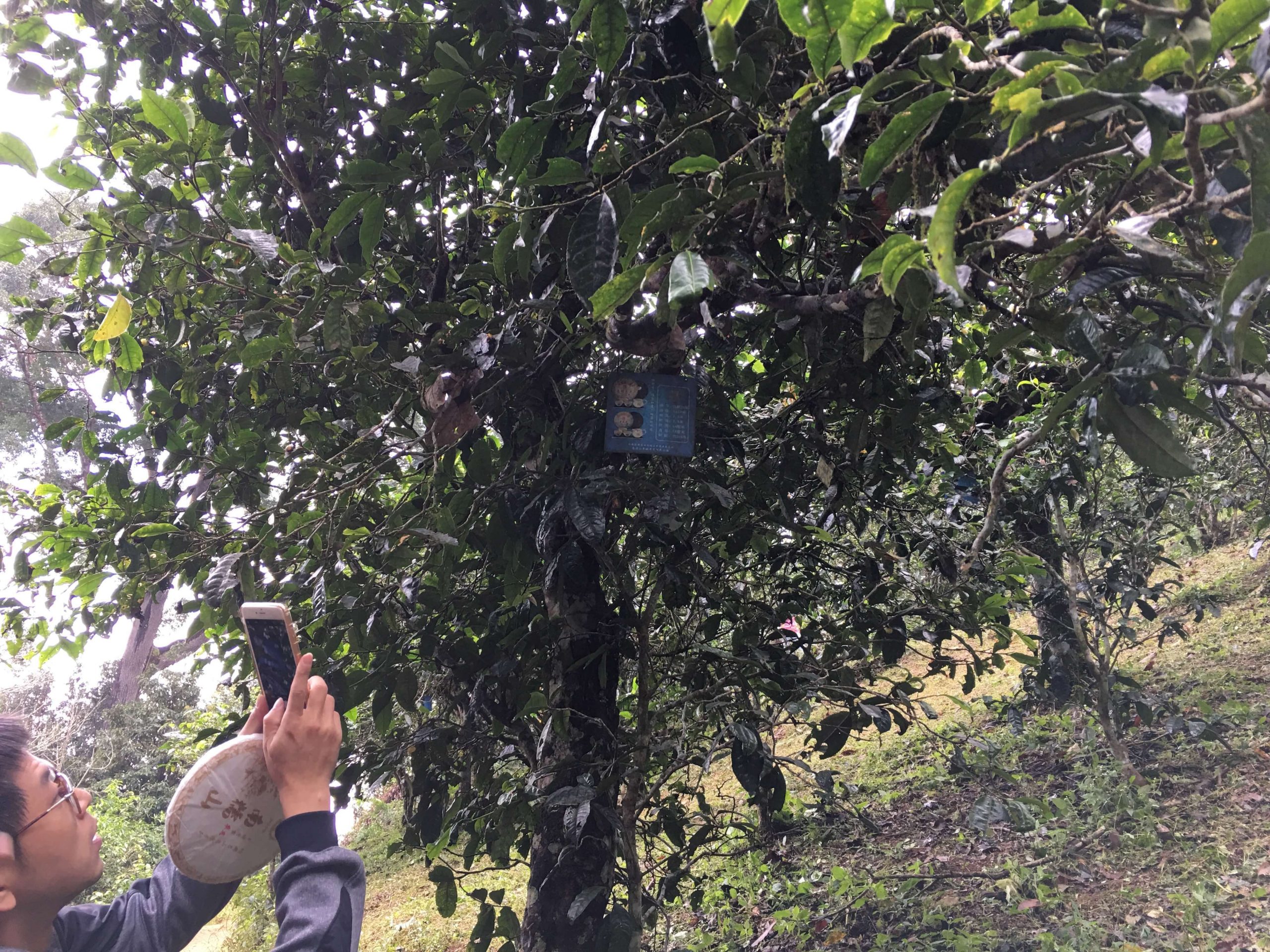 2018秋季茶山行 (73)