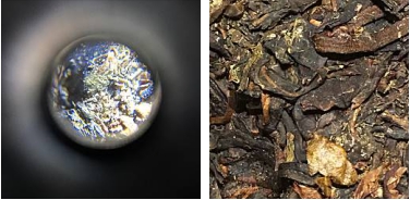 普洱茶發酵的大功臣